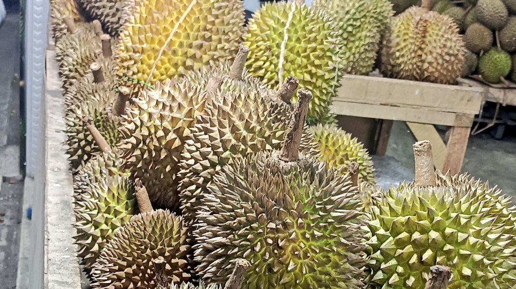 NaseSarwan's tweet photo. Tes tes tes tes tes #zonauangㅤ https://t.co/zKrHHxkurj