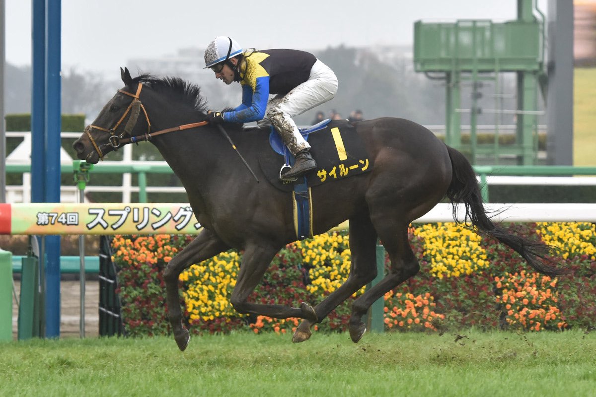 オジュウチャンネル【総フォロワー15万人超】 tweet media