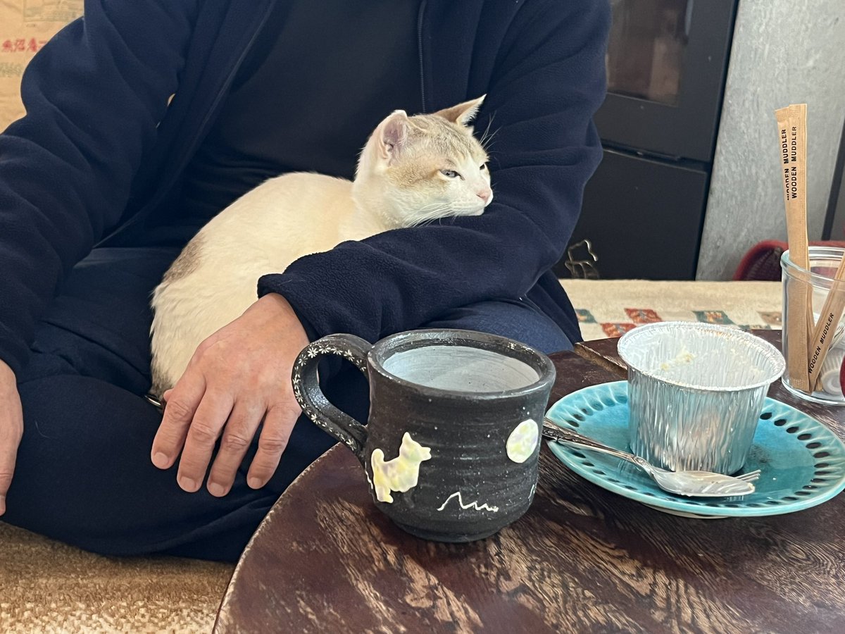 あんじー tweet media