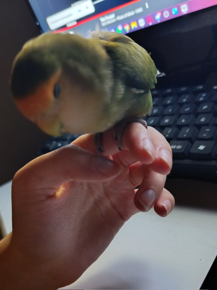 𝘉𝘢𝘯𝘦𝘵𝘵𝘦 tweet media