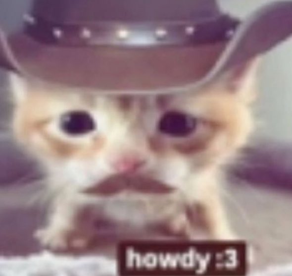 chui chui emo tweet media