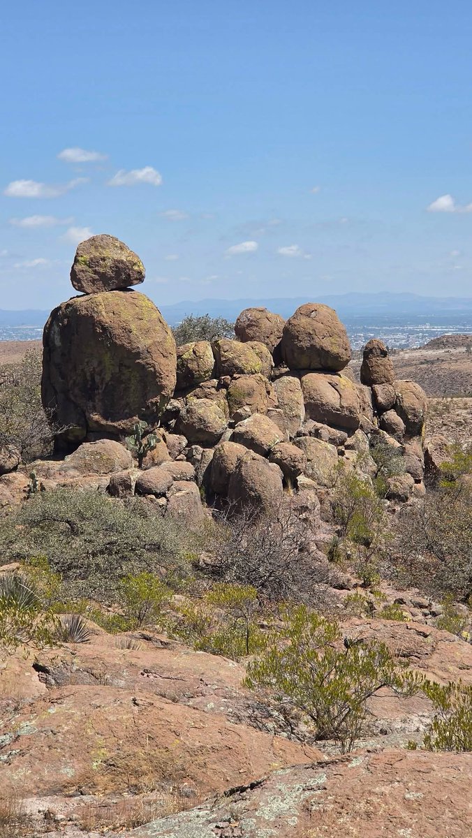 Todos Somos la Sierra de San Miguelito tweet media