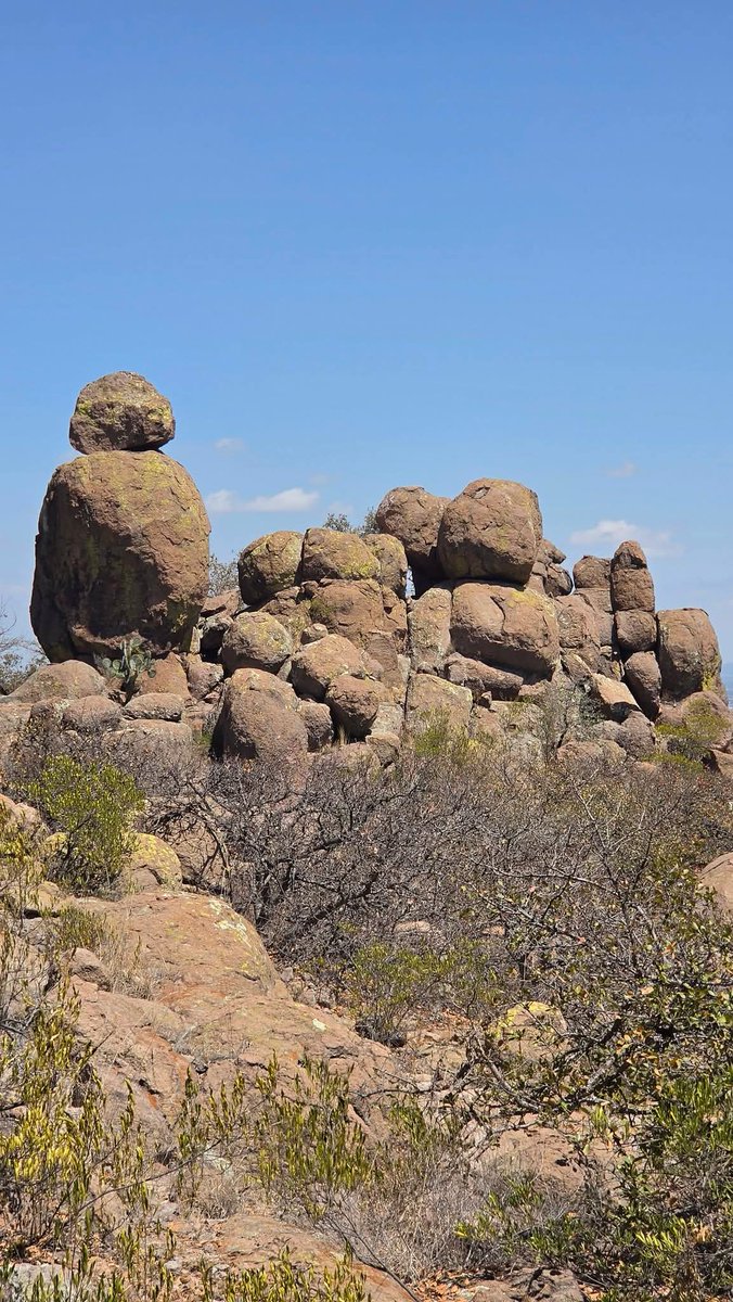 Todos Somos la Sierra de San Miguelito tweet media