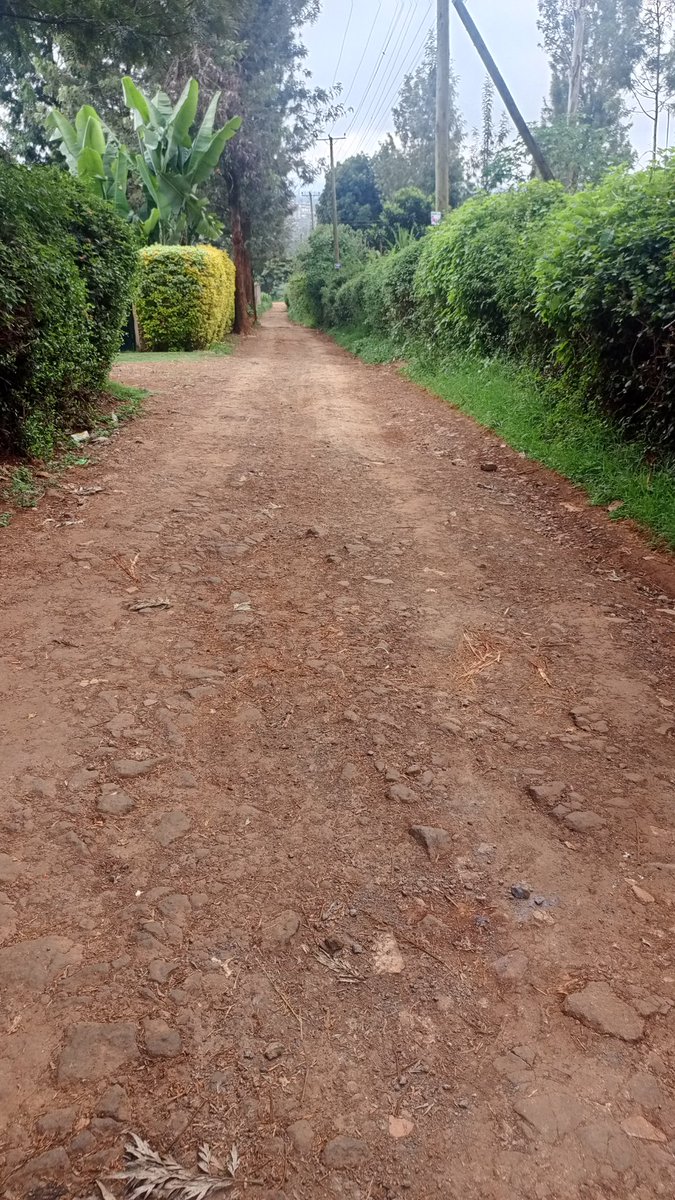 Flic🥖🍞🥨🥐🫓 tweet media