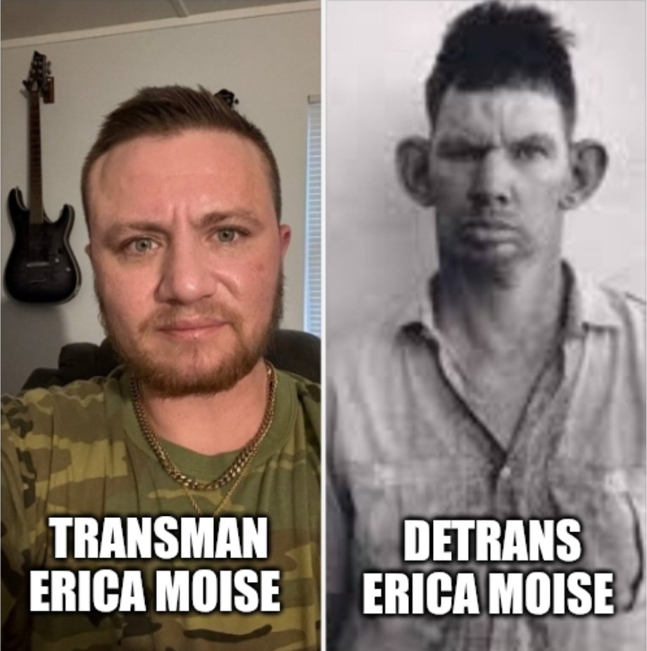 Fred Sargeant 🏳️‍🌈 🟦 tweet media