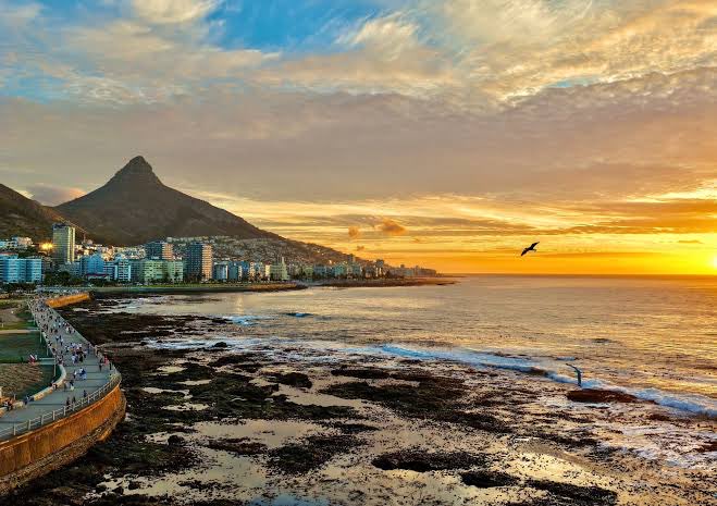 Firuze Can tweet media