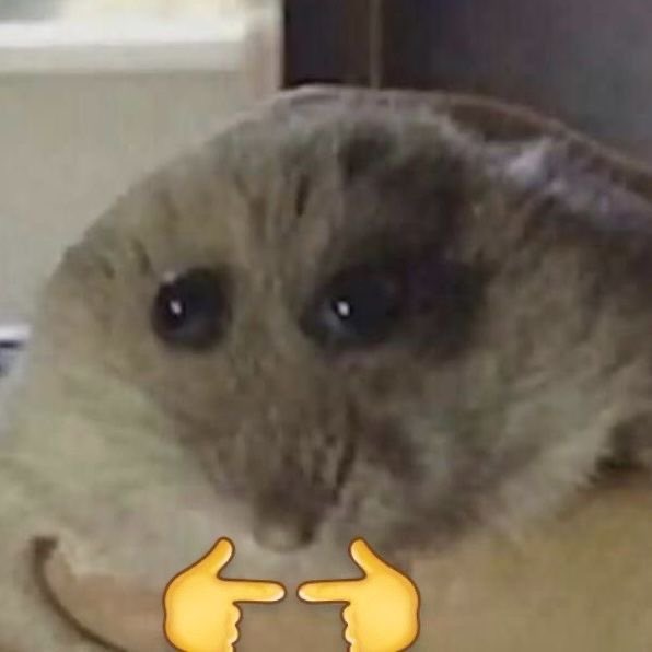 pan_tactico🐸🎀/☠️🌹 tweet media