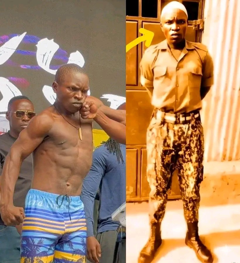 Nyaburi 🐝 tweet media