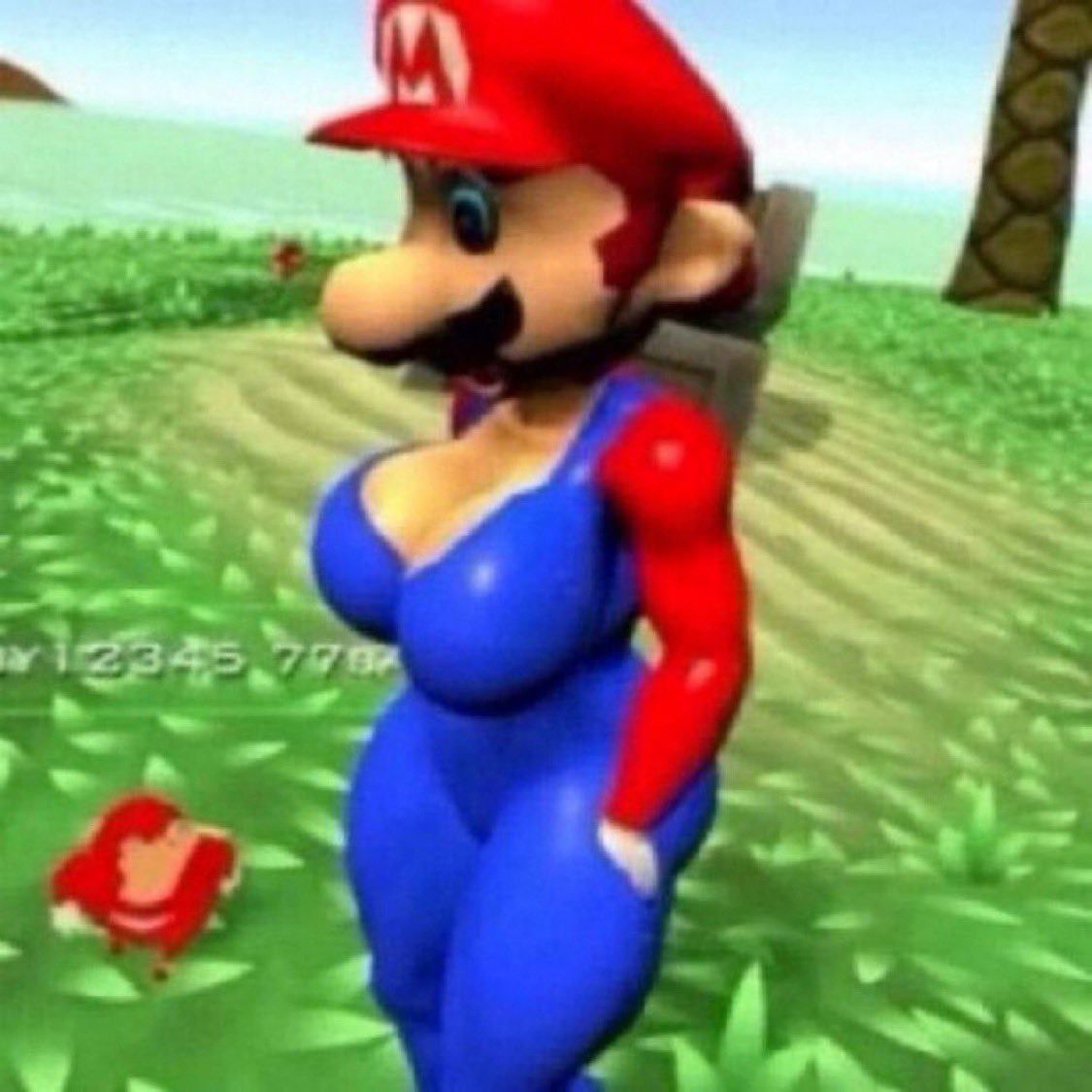 WalliCesar tweet media