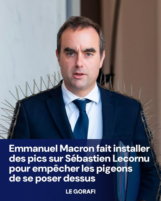 PIERRE VERNEφ tweet media