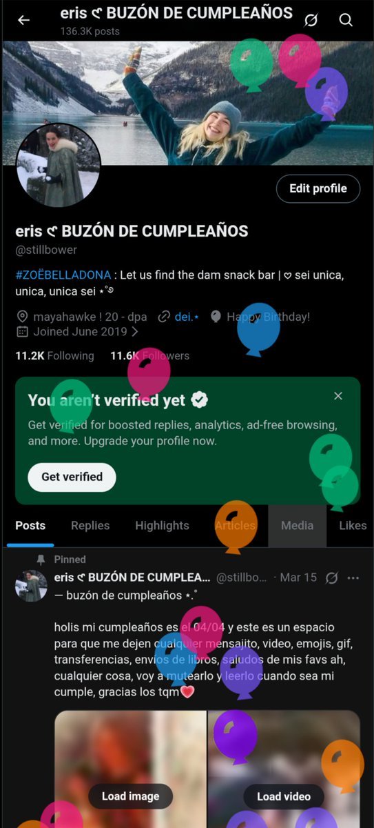 eris 𑣲 bday girl tweet media