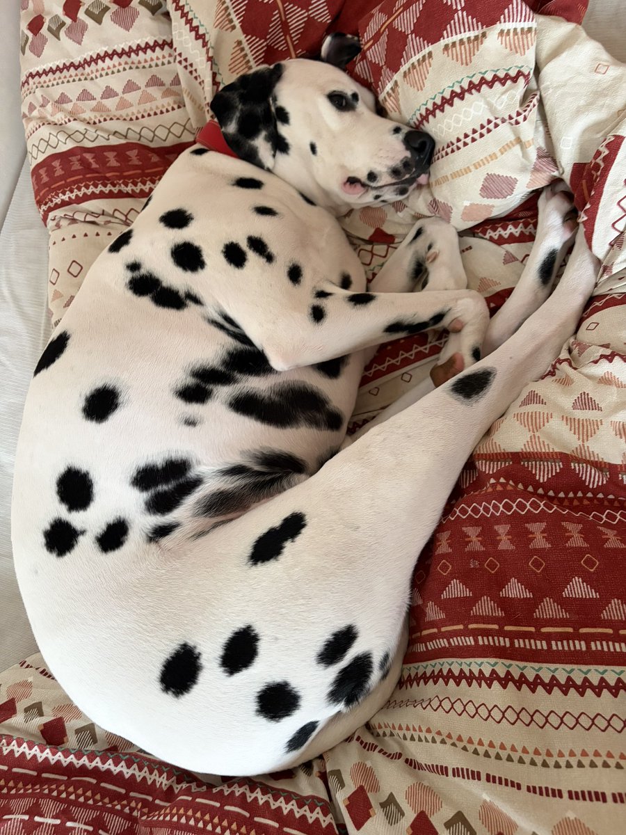 うっきー tweet media