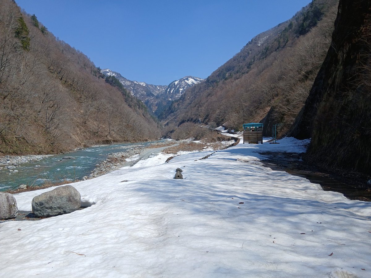 白山白川郷ホワイトロード【公式】 tweet media