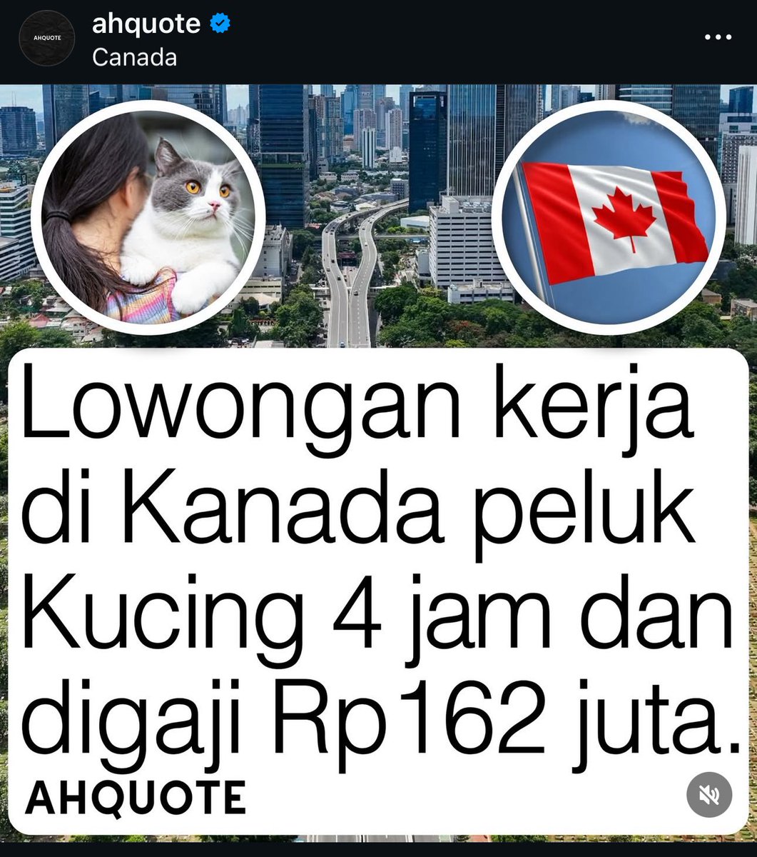 ʕ•͈ⱉ•͈ʔ ♡lovelyongie♡ ‧₊˚ 🐻ིྀ 🩰🦢💓 tweet media