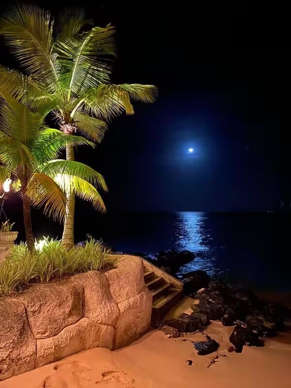 Robert Emery tweet media