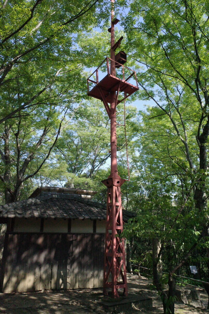 柳生八兵衛 tweet media