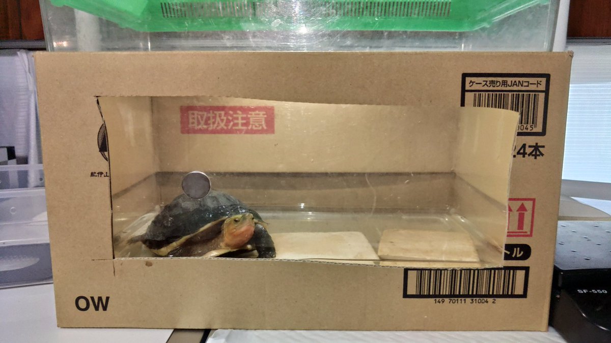 松蛇堂 tweet media