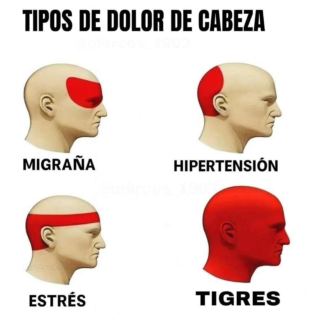 migangelgarzam's tweet photo. https://t.co/Ol2zxNdl0G