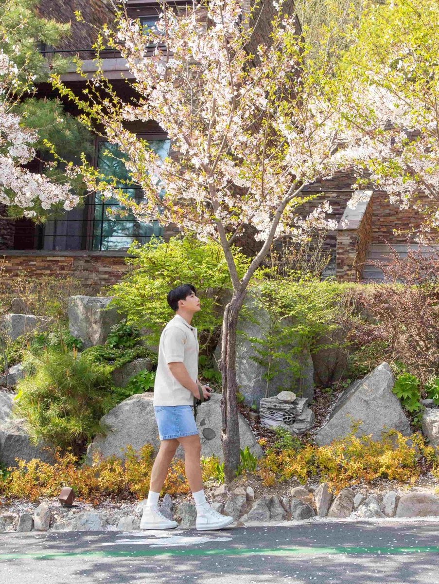 weneeverse's tweet photo. 근사한 나의 봄🩵🌿🌷 https://t.co/MPX5m4cELf