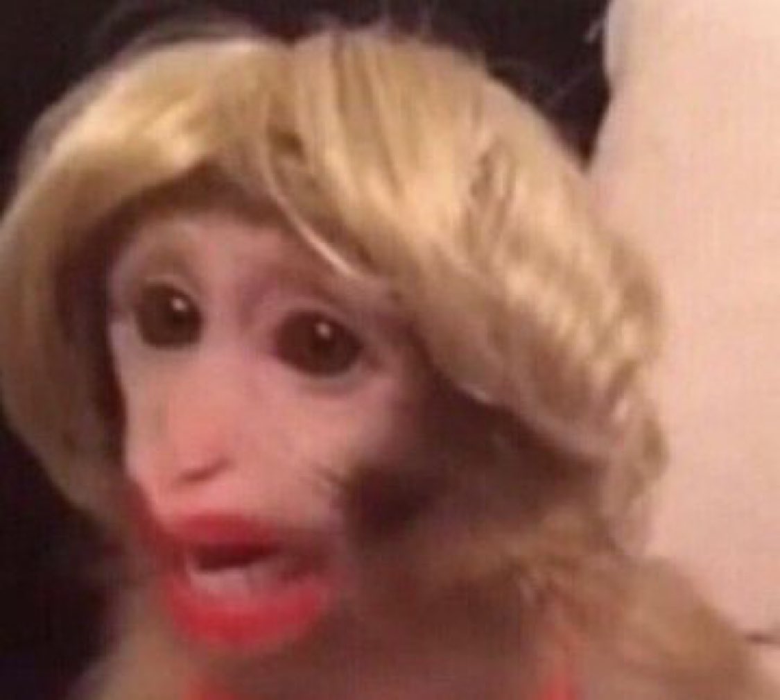 Adolf Hitler the Dictator & Fangon soldier! tweet media