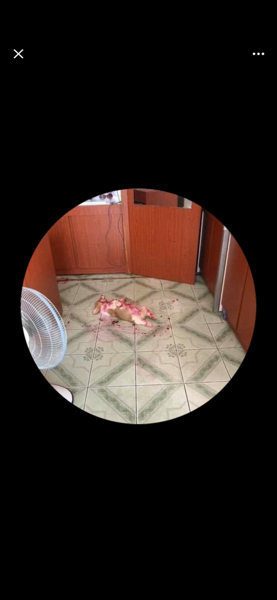 Daniel Morris tweet media