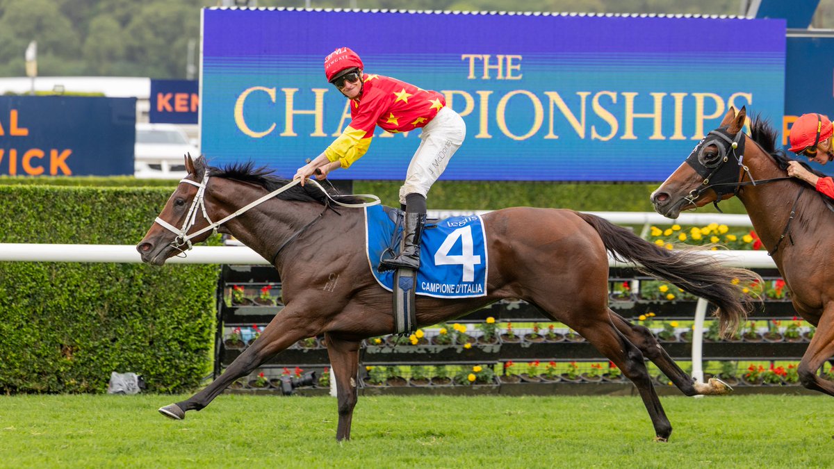 Arrowfield Stud tweet media