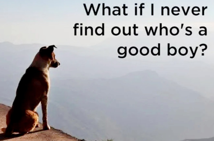 Mehtahnae tweet media