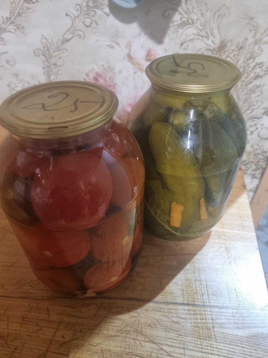 устрицавтрамвае tweet media