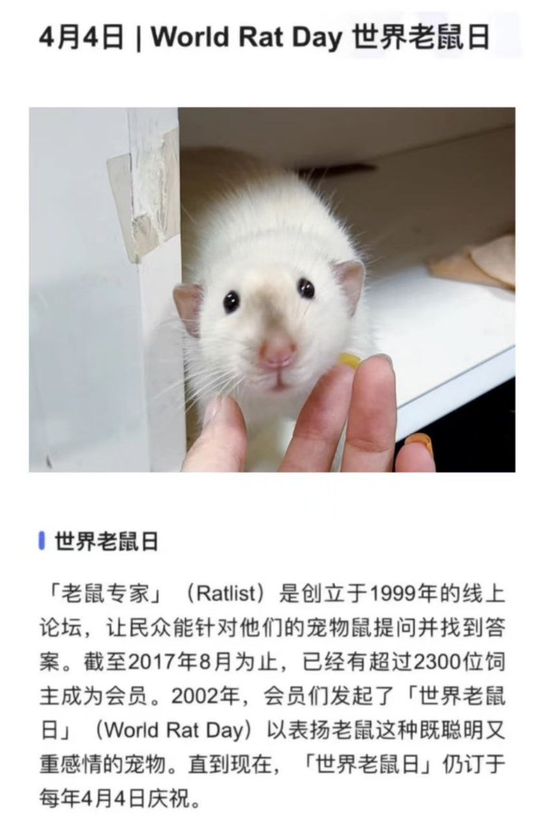 老鼠帮助老鼠🐭☝️ tweet media