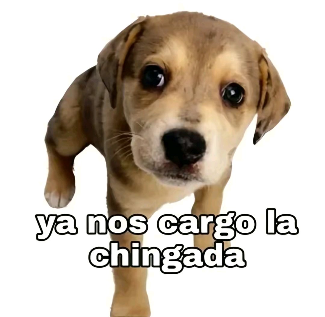 Kamaleonv2 tweet media