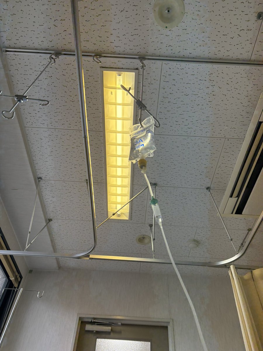 あまにゃ tweet media