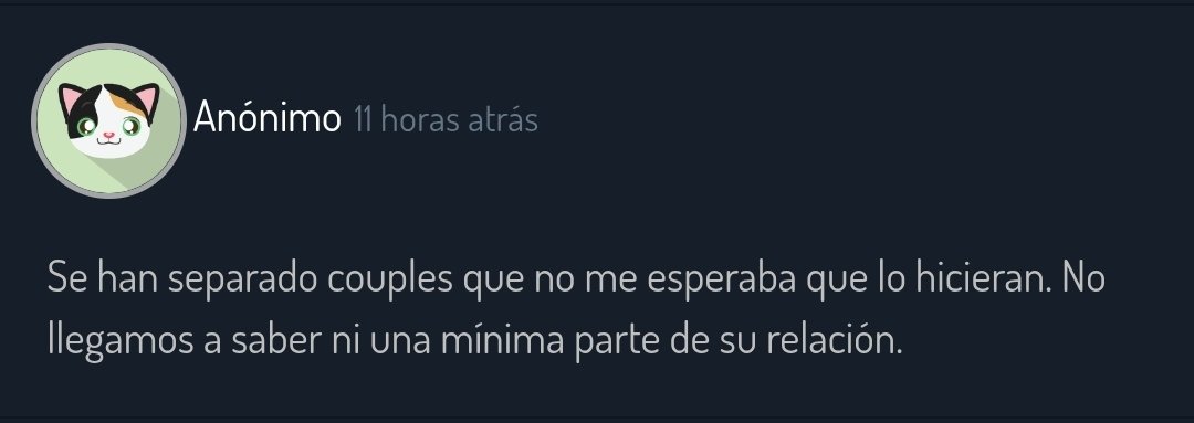 gato blsista tweet media