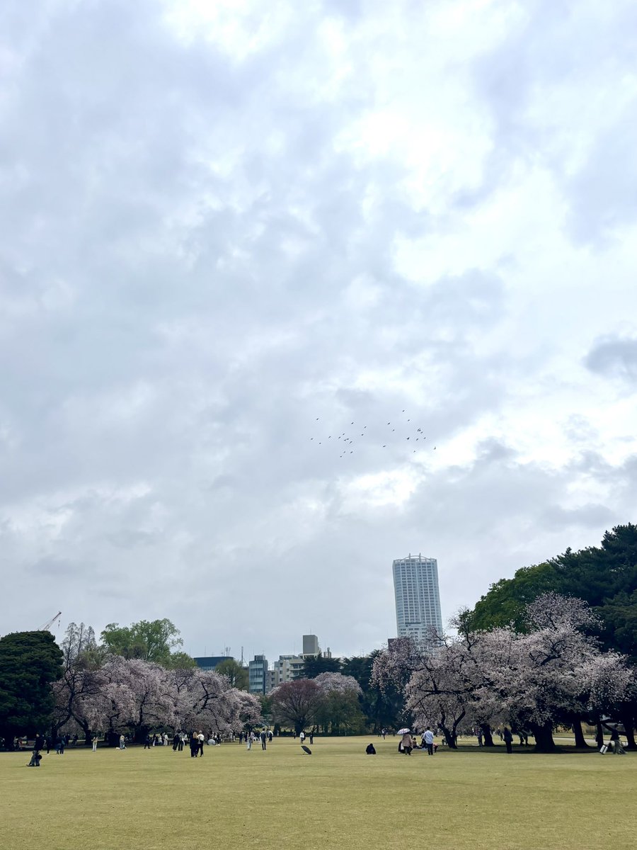 かぴ𓆟𖥧 tweet media