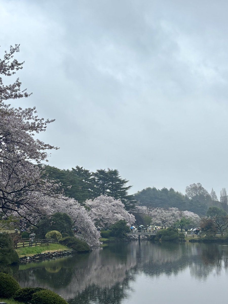 かぴ𓆟𖥧 tweet media