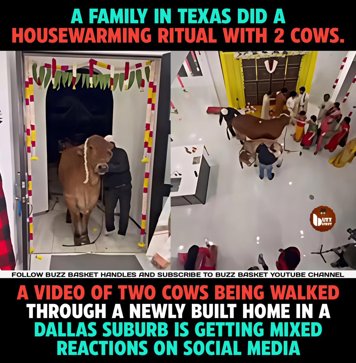 BuzZ Basket tweet media