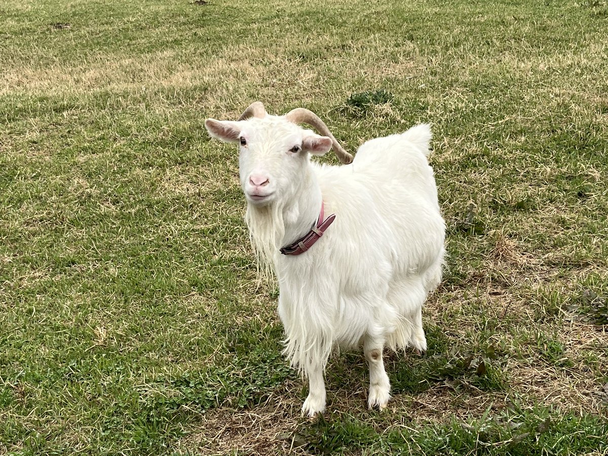 じゅんじゅん♪ tweet media