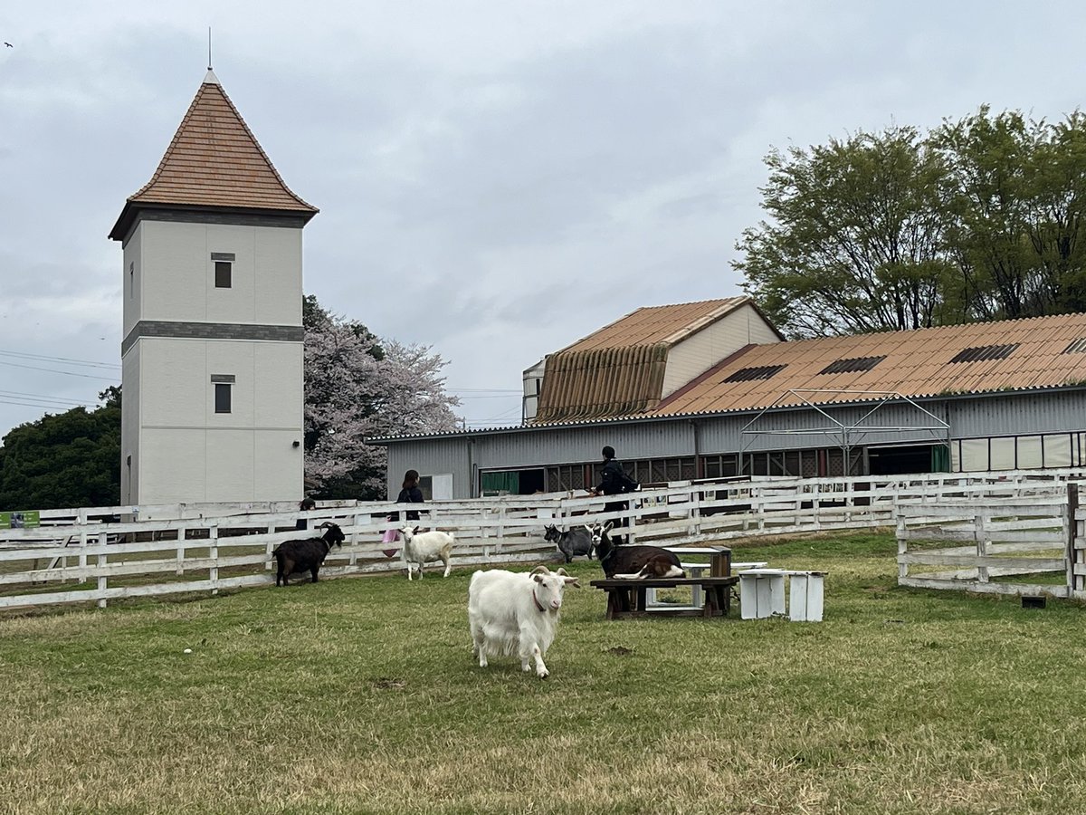 じゅんじゅん♪ tweet media