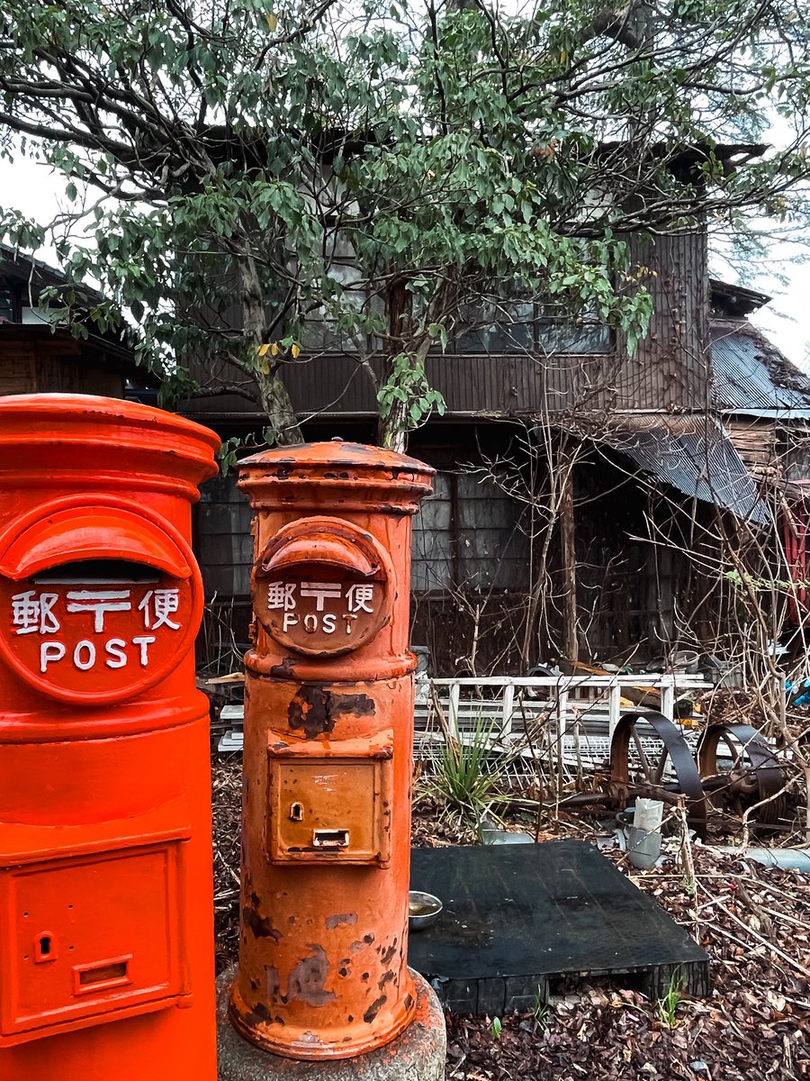 岡部閏 tweet media