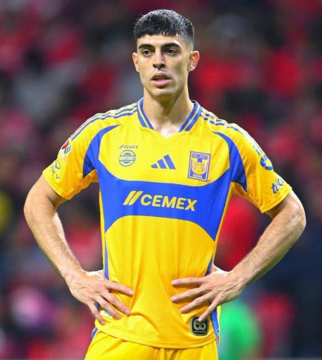 Analistas Tigres tweet media