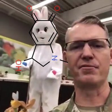 Did u know the adrenochrome molecule is shaped like a rabbit