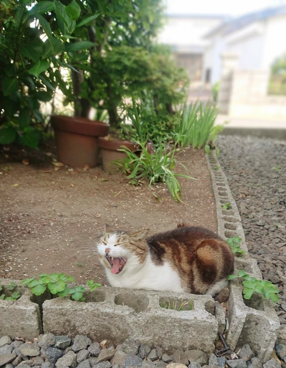 明日もあさっても
あたりまえのふつうの一日が続くように