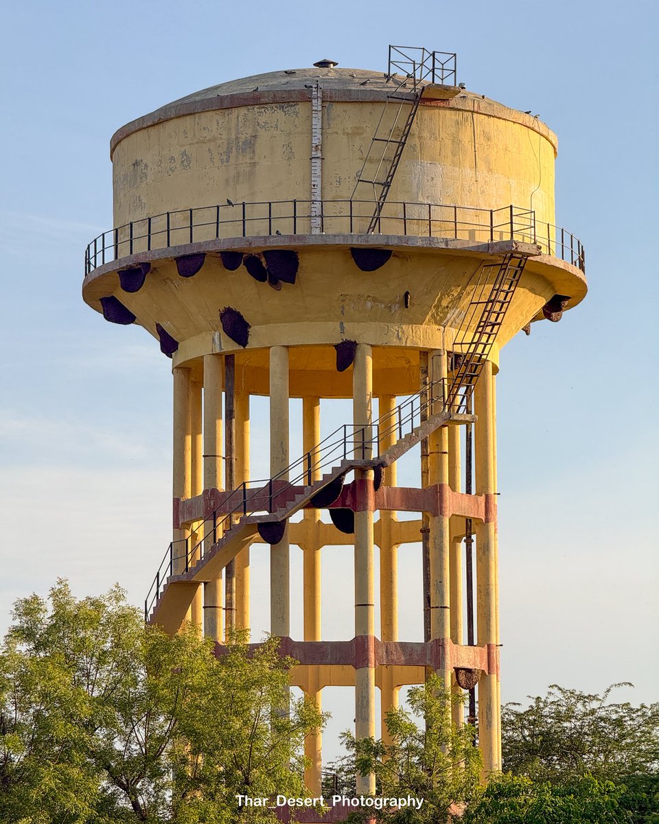 Thar_Desert_Photography tweet media