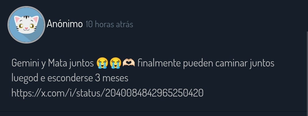 gato blsista tweet media