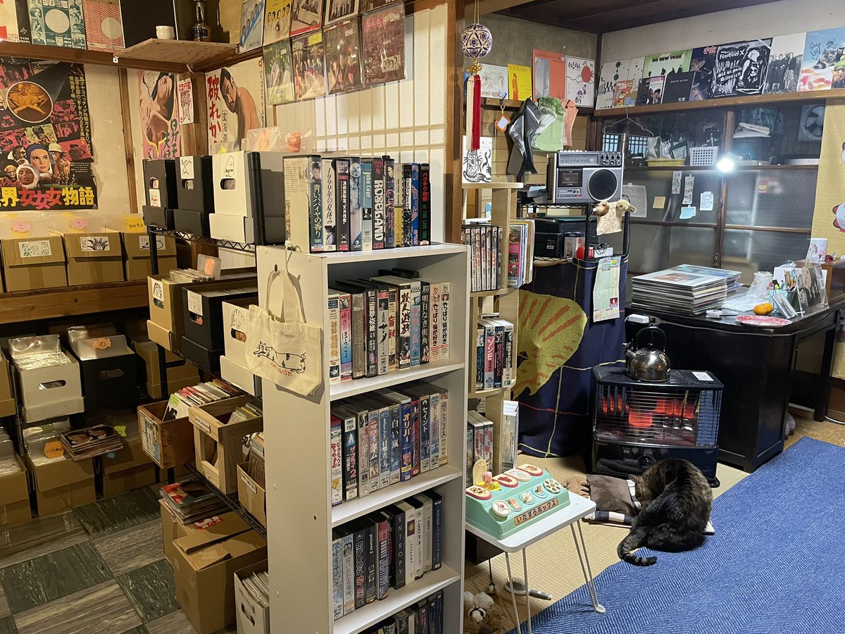 レコードショップおんがくいぬとねこ tweet media