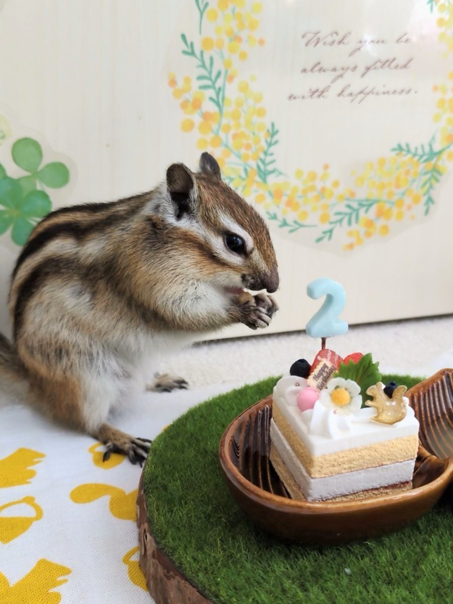 いちご tweet media