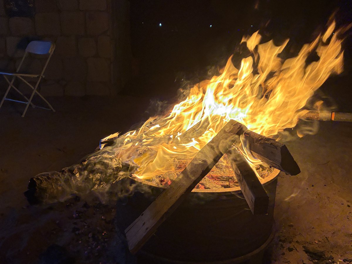 Logan Zhou tweet media