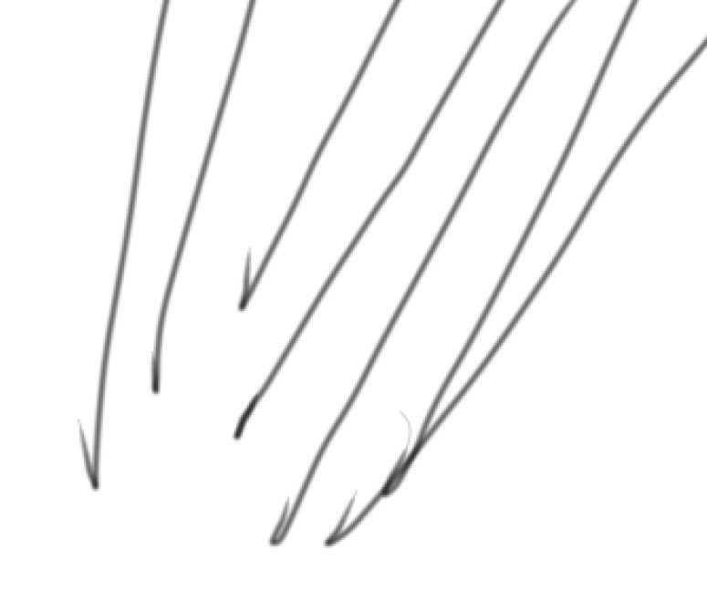 むうちゃ / AFFINITY SOFT tweet media