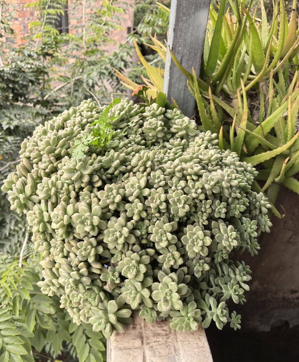 wade couch tweet media