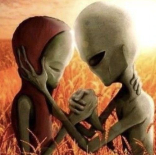 Wafu . ∣⃝⌿ tweet media