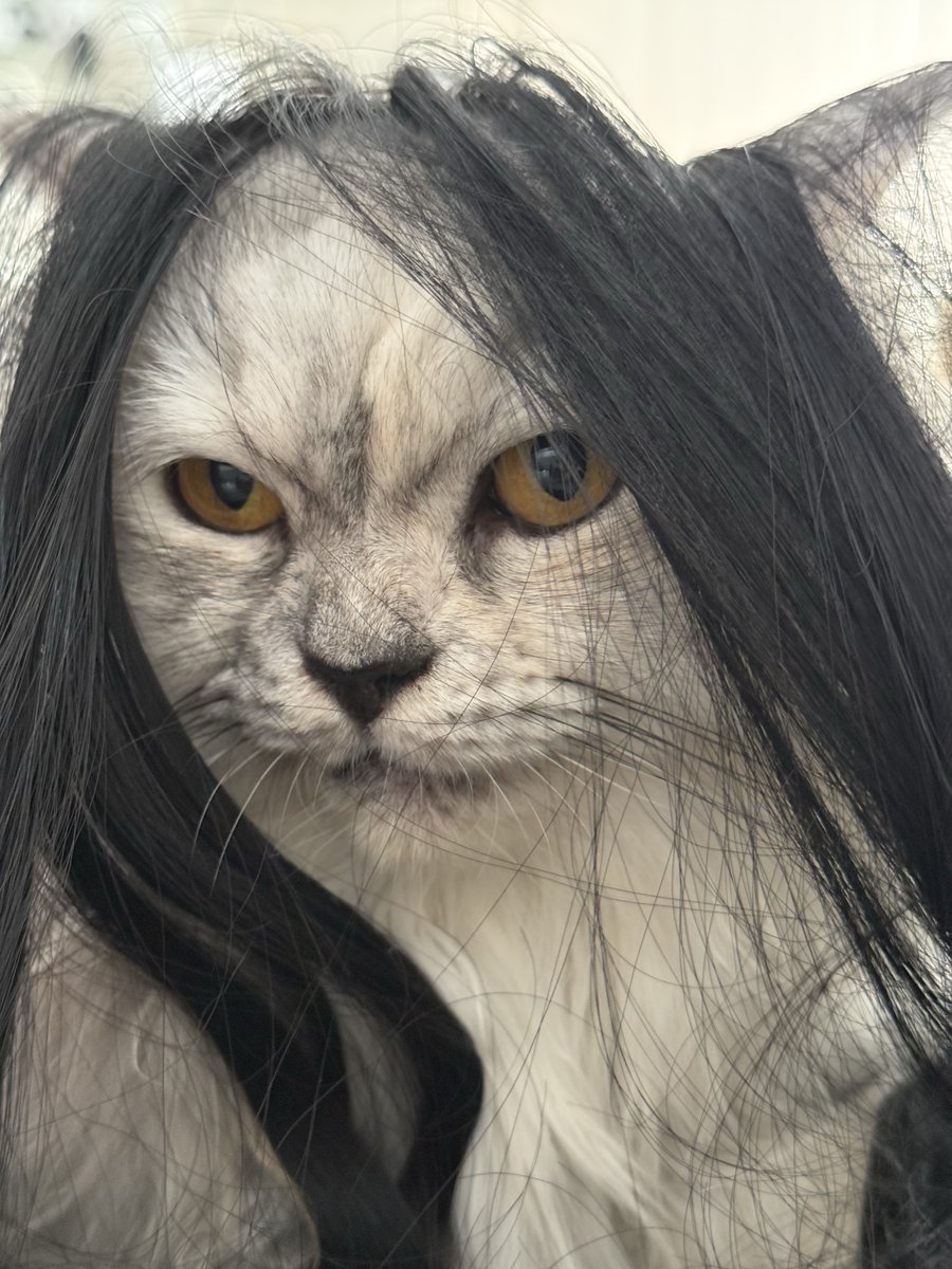 😾 Cece Bacem & ₘₑᵢₘₑᵢ tweet media